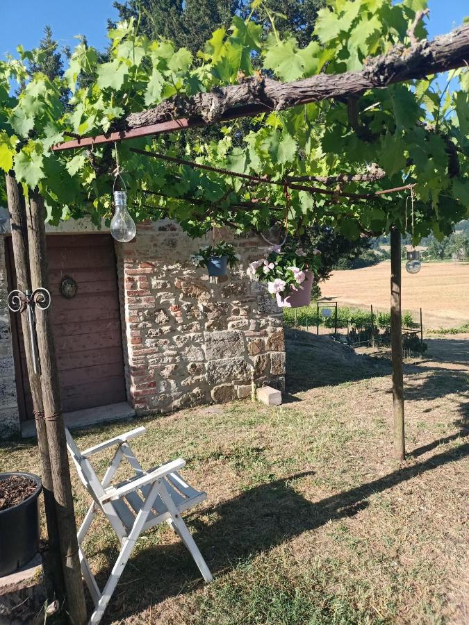 Agriturismo Podere La Selva Villa Serre Di Rapolano Kültér fotó