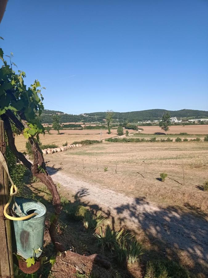 Agriturismo Podere La Selva Villa Serre Di Rapolano Kültér fotó