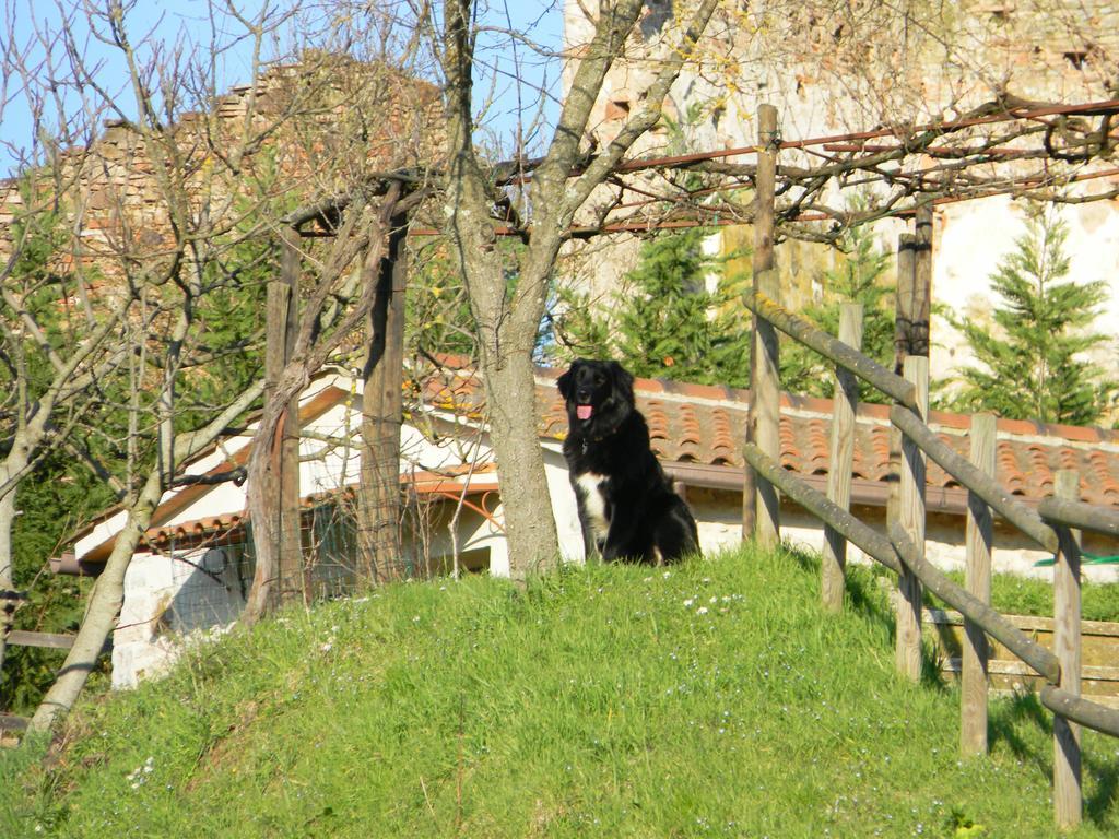 Agriturismo Podere La Selva Villa Serre Di Rapolano Kültér fotó