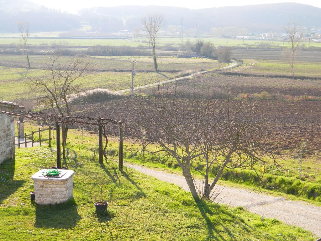 Agriturismo Podere La Selva Villa Serre Di Rapolano Kültér fotó