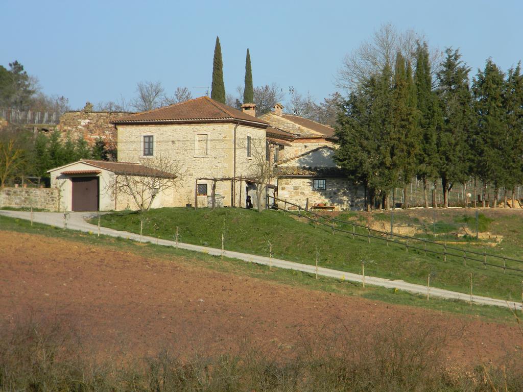 Agriturismo Podere La Selva Villa Serre Di Rapolano Kültér fotó