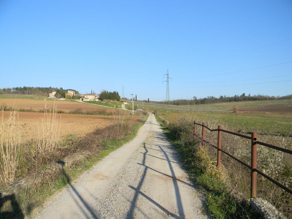 Agriturismo Podere La Selva Villa Serre Di Rapolano Kültér fotó