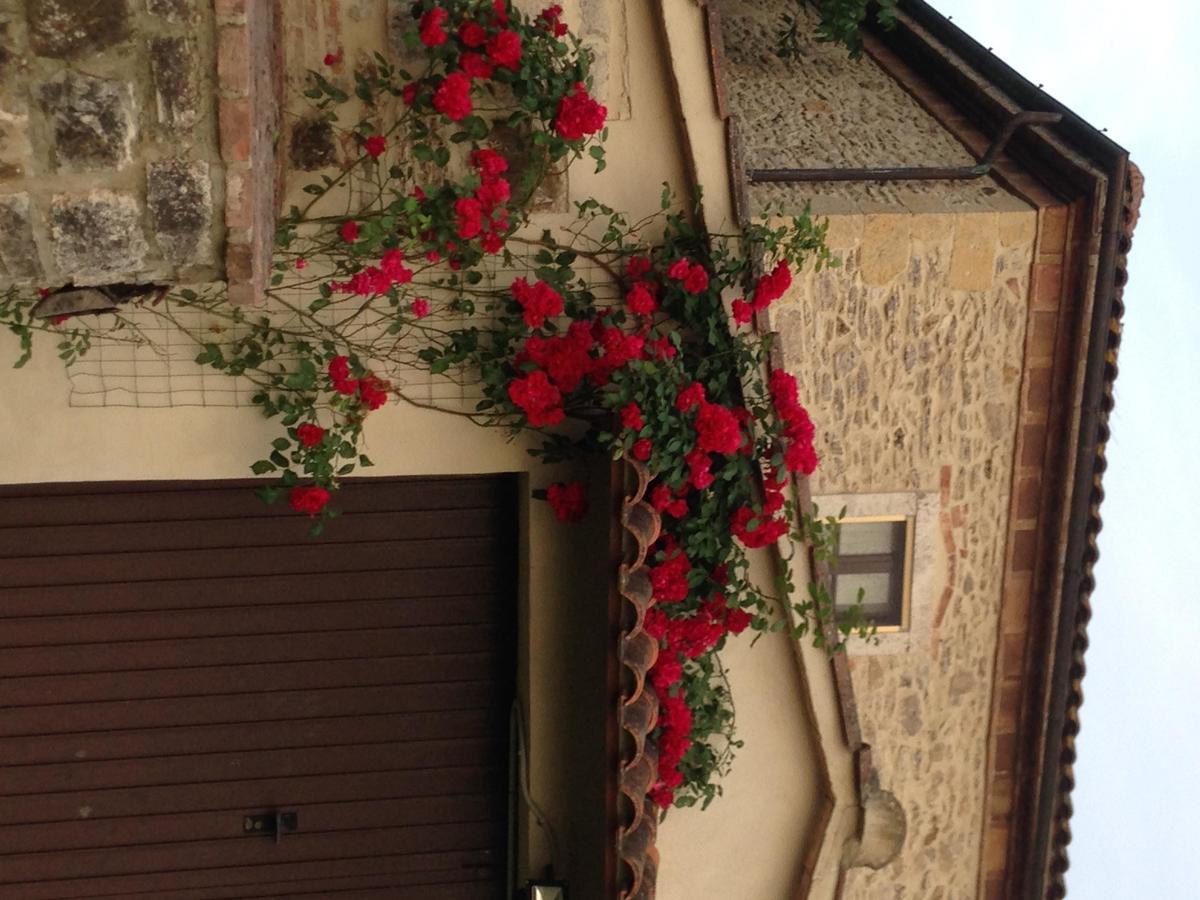 Agriturismo Podere La Selva Villa Serre Di Rapolano Kültér fotó